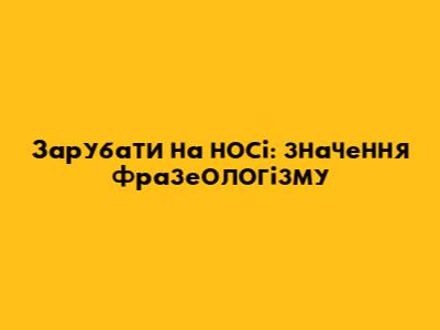 Зарубати на носі: значення фразеологізму