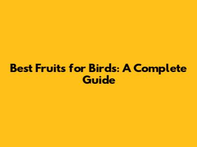 Best Fruits for Birds: A Complete Guide