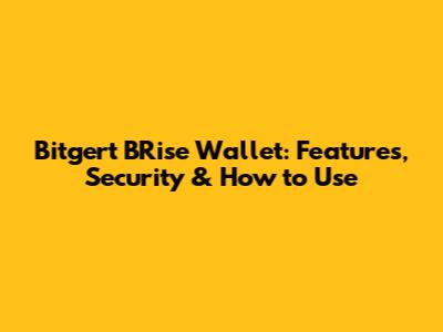 Bitgert BRise Wallet: Features, Security & How to Use