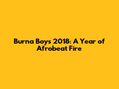 Burna Boy's 2018: A Year of Afrobeat Fire