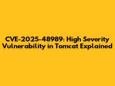 CVE-2025-48989: High Severity Vulnerability in Tomcat Explained