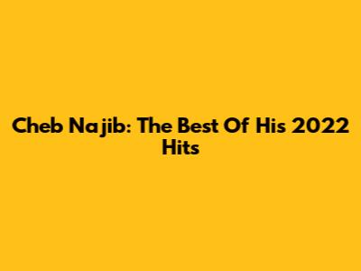 Cheb Najib: The Best Of His 2022 Hits