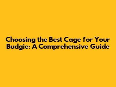 Choosing the Best Cage for Your Budgie: A Comprehensive Guide