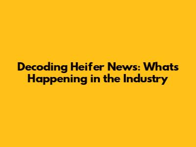 Decoding Heifer News: What's Happening in the Industry