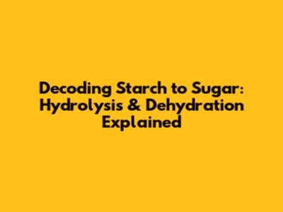 Decoding Starch to Sugar: Hydrolysis & Dehydration Explained