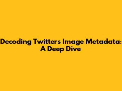 Decoding Twitter's Image Metadata: A Deep Dive