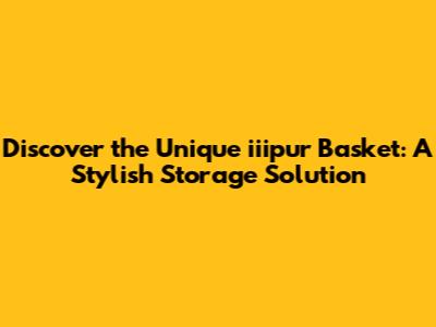 Discover the Unique iiipur Basket: A Stylish Storage Solution