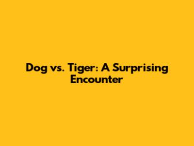 Dog vs. Tiger: A Surprising Encounter