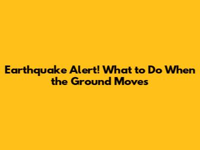 Earthquake Alert! What to Do When the Ground Moves