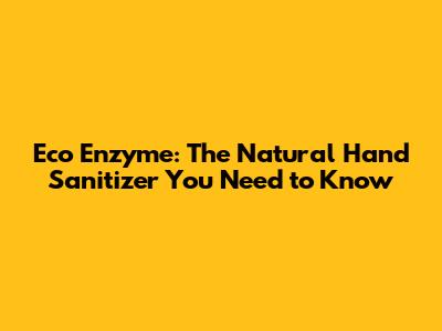 Eco Enzyme: The Natural Hand Sanitizer You Need to Know