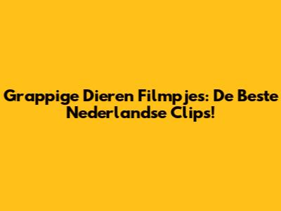 Grappige Dieren Filmpjes: De Beste Nederlandse Clips!