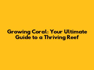 Growing Coral: Your Ultimate Guide to a Thriving Reef