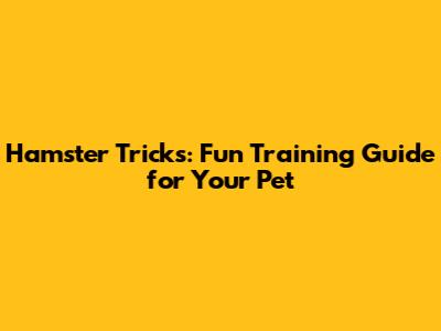 Hamster Tricks: Fun Training Guide for Your Pet