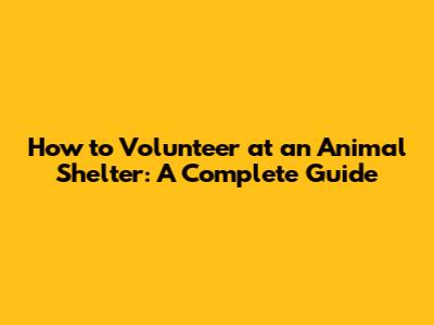 How to Volunteer at an Animal Shelter: A Complete Guide