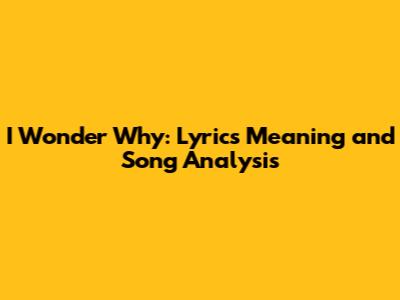 I Wonder Why: Lyrics Meaning and Song Analysis