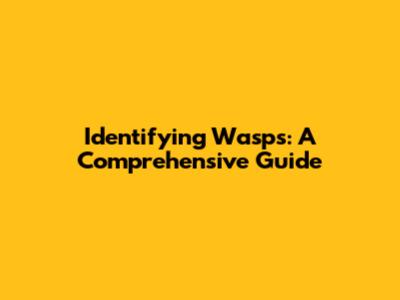 Identifying Wasps: A Comprehensive Guide