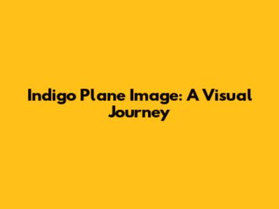 Indigo Plane Image: A Visual Journey