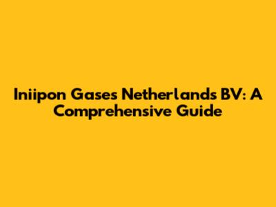 Iniipon Gases Netherlands BV: A Comprehensive Guide