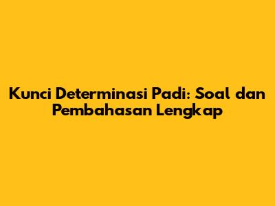 Kunci Determinasi Padi: Soal dan Pembahasan Lengkap