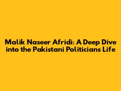 Malik Naseer Afridi: A Deep Dive into the Pakistani Politician's Life