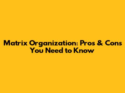 Matrix Organization: Pros & Cons You Need to Know