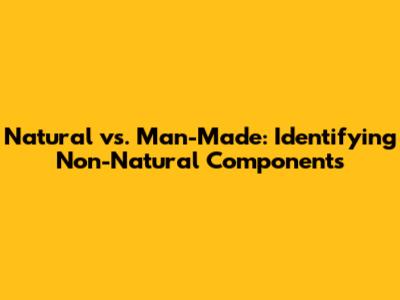 Natural vs. Man-Made: Identifying Non-Natural Components