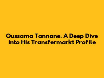 Oussama Tannane: A Deep Dive into His Transfermarkt Profile