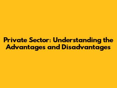 Private Sector: Understanding the Advantages and Disadvantages
