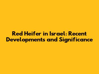 Red Heifer in Israel: Recent Developments and Significance