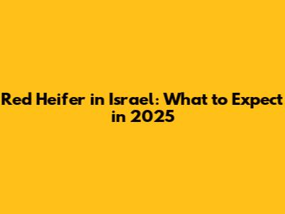 Red Heifer in Israel: What to Expect in 2025