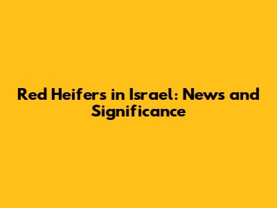 Red Heifers in Israel: News and Significance