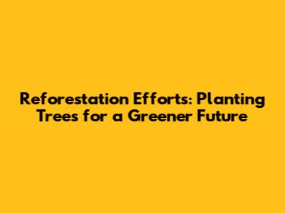 Reforestation Efforts: Planting Trees for a Greener Future