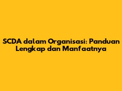 SCDA dalam Organisasi: Panduan Lengkap dan Manfaatnya