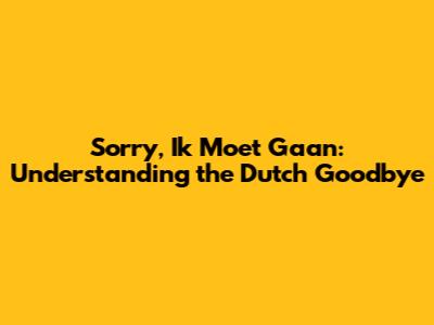 Sorry, Ik Moet Gaan: Understanding the Dutch Goodbye