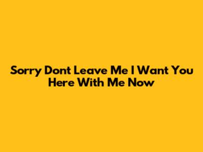 Sorry Don't Leave Me I Want You Here With Me Now