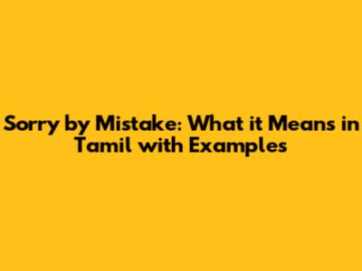 Sorry by Mistake: What it Means in Tamil with Examples
