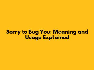 Sorry to Bug You: Meaning and Usage Explained