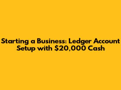 Starting a Business: Ledger Account Setup with $20,000 Cash