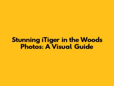 Stunning 'iTiger in the Woods' Photos: A Visual Guide