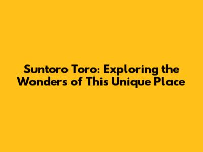 Suntoro Toro: Exploring the Wonders of This Unique Place