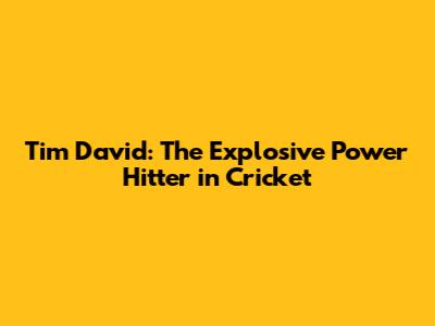 Tim David: The Explosive Power Hitter in Cricket