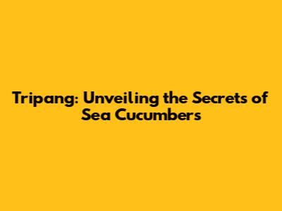 Tripang: Unveiling the Secrets of Sea Cucumbers