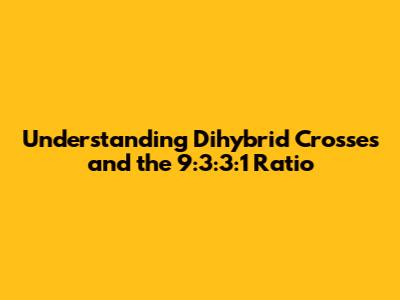 Understanding Dihybrid Crosses and the 9:3:3:1 Ratio