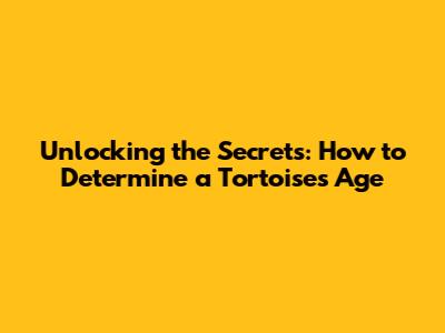 Unlocking the Secrets: How to Determine a Tortoise's Age
