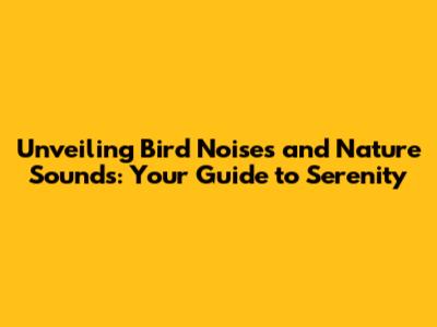 Unveiling Bird Noises and Nature Sounds: Your Guide to Serenity