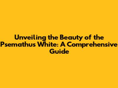 Unveiling the Beauty of the Psemathus White: A Comprehensive Guide