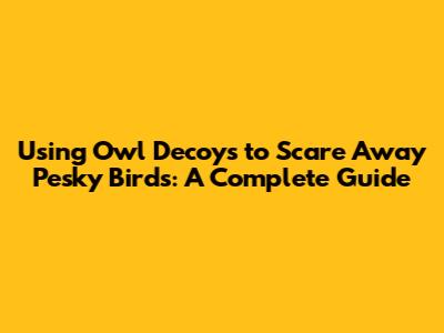 Using Owl Decoys to Scare Away Pesky Birds: A Complete Guide