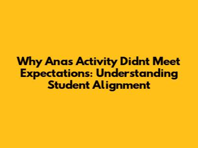 Why Ana's Activity Didn't Meet Expectations: Understanding Student Alignment